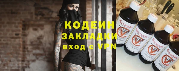 индика Покачи