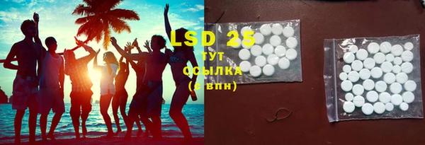 индика Покачи