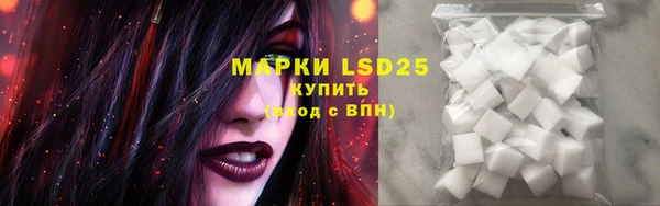 прущие грибы Алексеевка