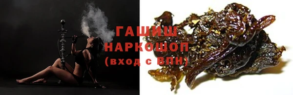 индика Покачи