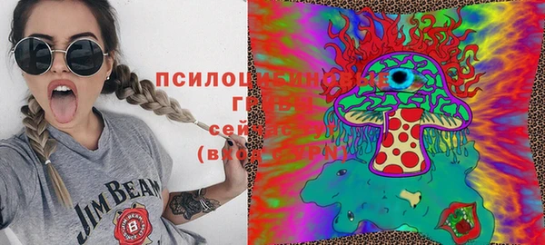 ECSTASY Алексин